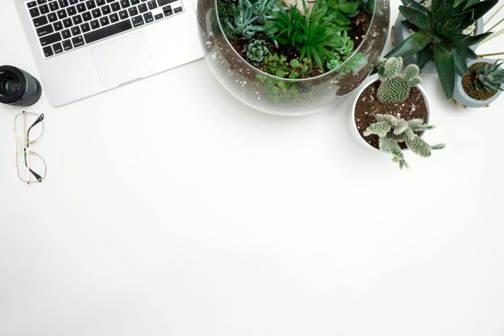 Minimalist home workspace with laptop, camera lens, and succulent plants in pots on a white desk.